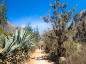 Treks Before the Big Machu Picchu Hike